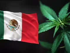 Perché il Messico è diventato un importante hub per il traffico globale di droga