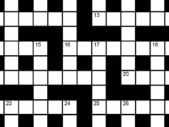 Il cruciverba della domenica indù n. 46