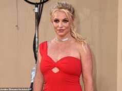 Britney Spears ha concesso un’ordinanza restrittiva permanente contro un uomo che si è presentato a casa sua in mezzo a problemi di arresto per guida in stato di ebbrezza