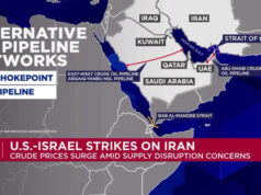 La crisi dello Stretto di Hormuz spiega: cosa significa per il trasporto marittimo globale