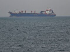 Lo Stretto di Hormuz si trova advert affrontare un blocco. Questi paesi saranno i più colpiti