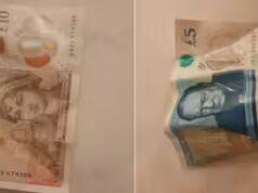 Churchill e Austen saranno sostituiti dalla fauna selvatica sulle banconote britanniche