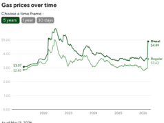 Il grafico mostra quanto paghi quando acquisti un litro di benzina