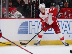 Fulmini e Ali Rosse si leccano le ferite entrando in collisione