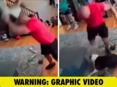 Aggressione brutale di cani ripresa dalla telecamera, polizia indaga sull’incidente