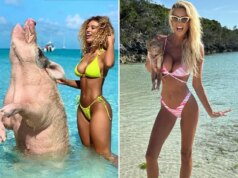 Celebrità che si scatenano per la Giornata nazionale del maiale