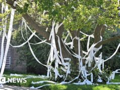 Insegnante americana uccisa dopo uno scherzo con la carta igienica andato storto