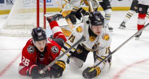 A VOIR: l’entraîneur des Remparts pique une sainte colère face aux Tigres