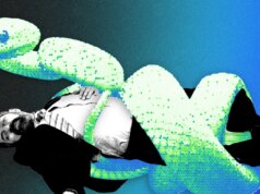 L’intelligenza artificiale può uccidere il enterprise capitalist?