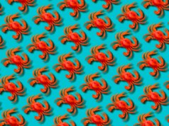 Meta ha acquisito Moltbook, il social community di agenti AI diventato virale a causa di submit falsi