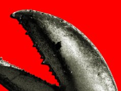 Il increase cinese di OpenClaw è una corsa all’oro per le aziende di intelligenza artificiale