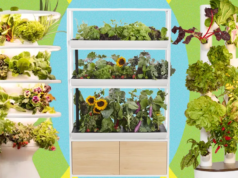 I migliori sistemi per giardini interni: li abbiamo testati tutto l’anno (2026)