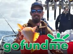 La “presa mortale” La famiglia di Todd Meadows avvia GoFundMe per aiutare i suoi figli