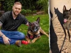 Ho prestato servizio con il mio cane Dasty in Afghanistan. I cani sono i migliori amici dell’uomo sul campo di battaglia