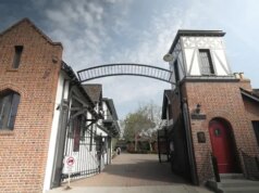 Questa settimana in poi "Domenica mattina" (15 marzo)