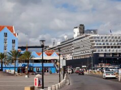 La vacanza da sogno diventa un incubo quando decine di persone si ammalano per sospetta epidemia di norovirus su una nave da crociera