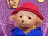 Paddington The Musical vince 11 Olivier Awards
