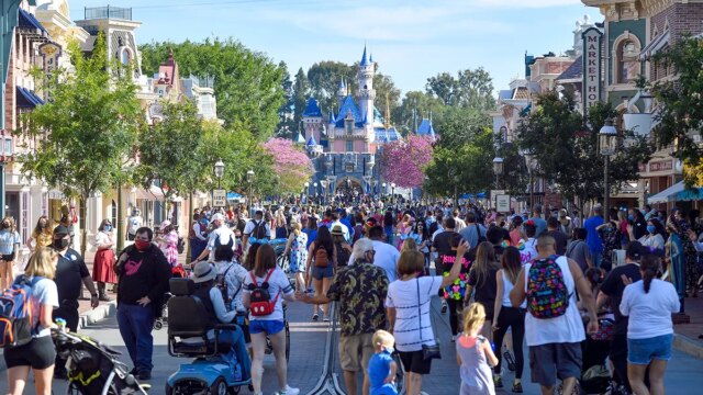 disneyland-park-visitors.jpg