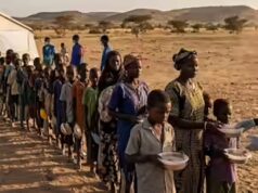 Raccolti 91,4 milioni di AED: l’asta di beneficenza del “numero più nobile” di Dubai sostiene la campagna contro la fame childish