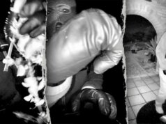 Nuove immagini di sicurezza scoperte nel caso del rapimento di Nancy Guthrie mentre le indagini dell’FBI continuano