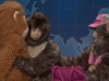 Punch the Monkey fa la sua comparsa nell’aggiornamento del positive settimana di SNL