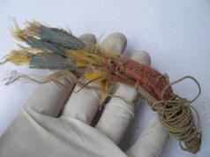 Nell’antico Perù, i commercianti di piume trasportavano pappagalli vivi attraverso montagne insidiose