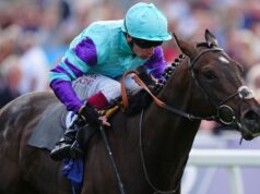 Cool Hoof Luke sarà il protagonista del servizio di Woman Wulfruna sabato