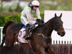 Il guerriero gaelico conquista l’oro a Cheltenham; Envoi Allen muore dopo aver finito