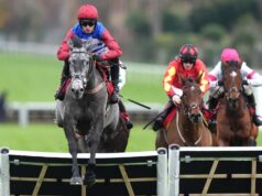 Consigli di Cheltenham: No Drama This Finish ha sostenuto per respingere gli sfidanti irlandesi a Turners
