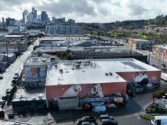 Un people rocker di prim’ordine ha costruito questa sala da concerto preziosa, proprio quando il centro di Los Angeles ne ha bisogno