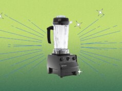 Vale la pena prendere un Vitamix? Ho chiesto a diversi esperti di intervenire